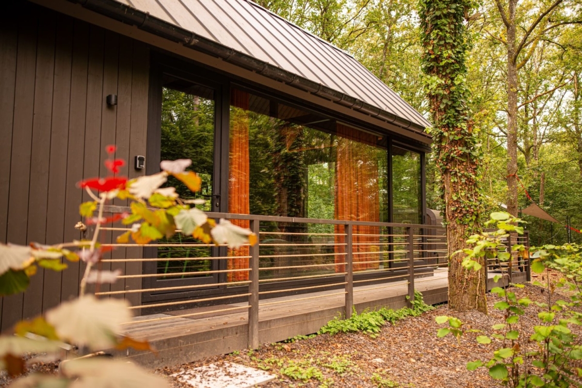 Yosemite - large forest garden and contemporary interior decoration